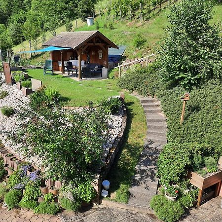 Chambres D'Hotes "Au Val Sejour" Alsace Saint-Martin  외부 사진