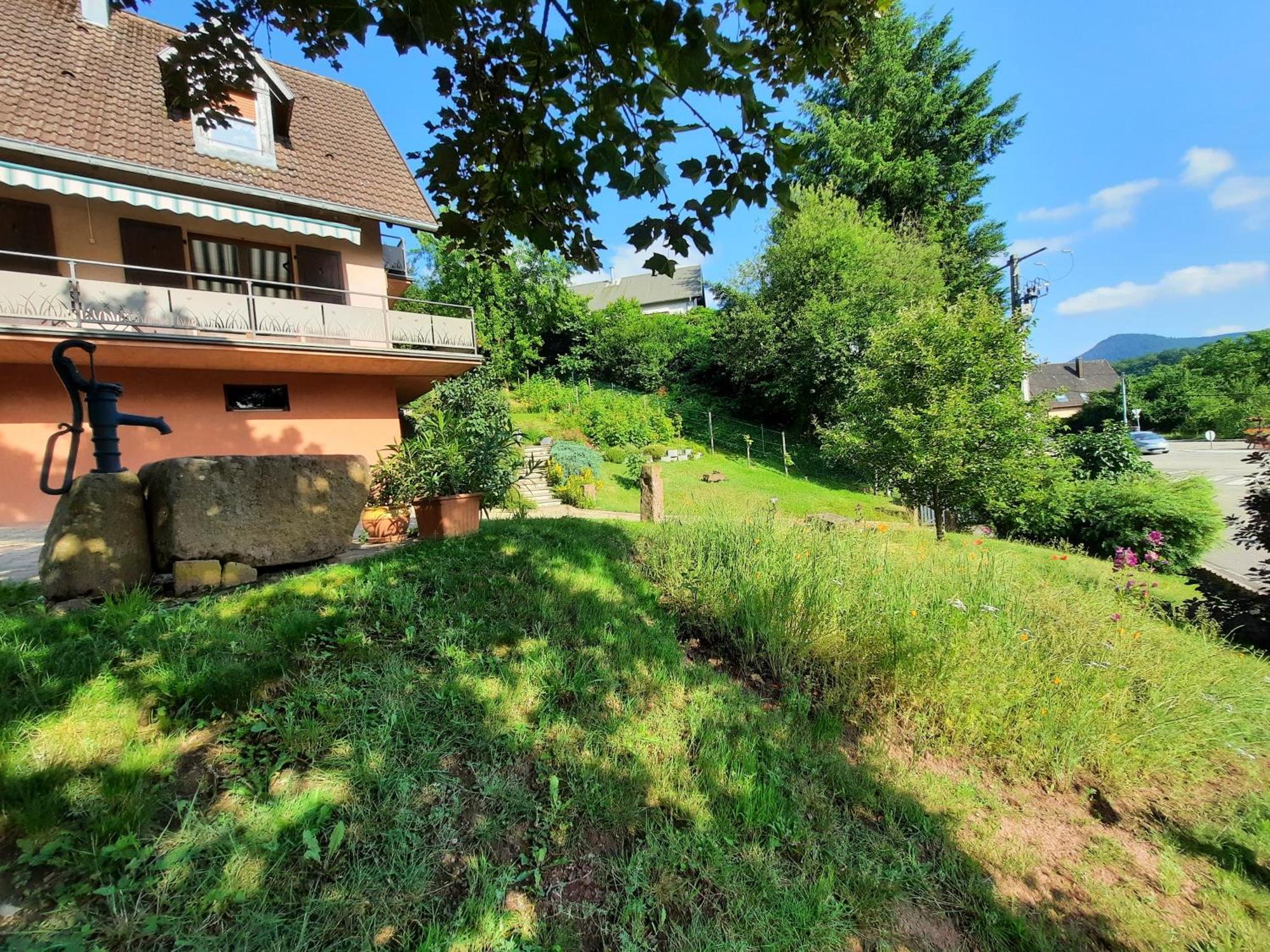 Chambres D'Hotes "Au Val Sejour" Alsace Saint-Martin  외부 사진