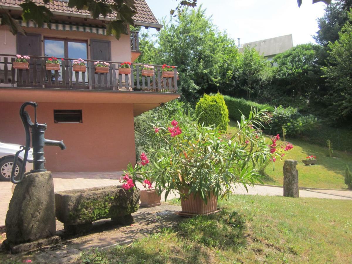 Chambres D'Hotes "Au Val Sejour" Alsace Saint-Martin  외부 사진