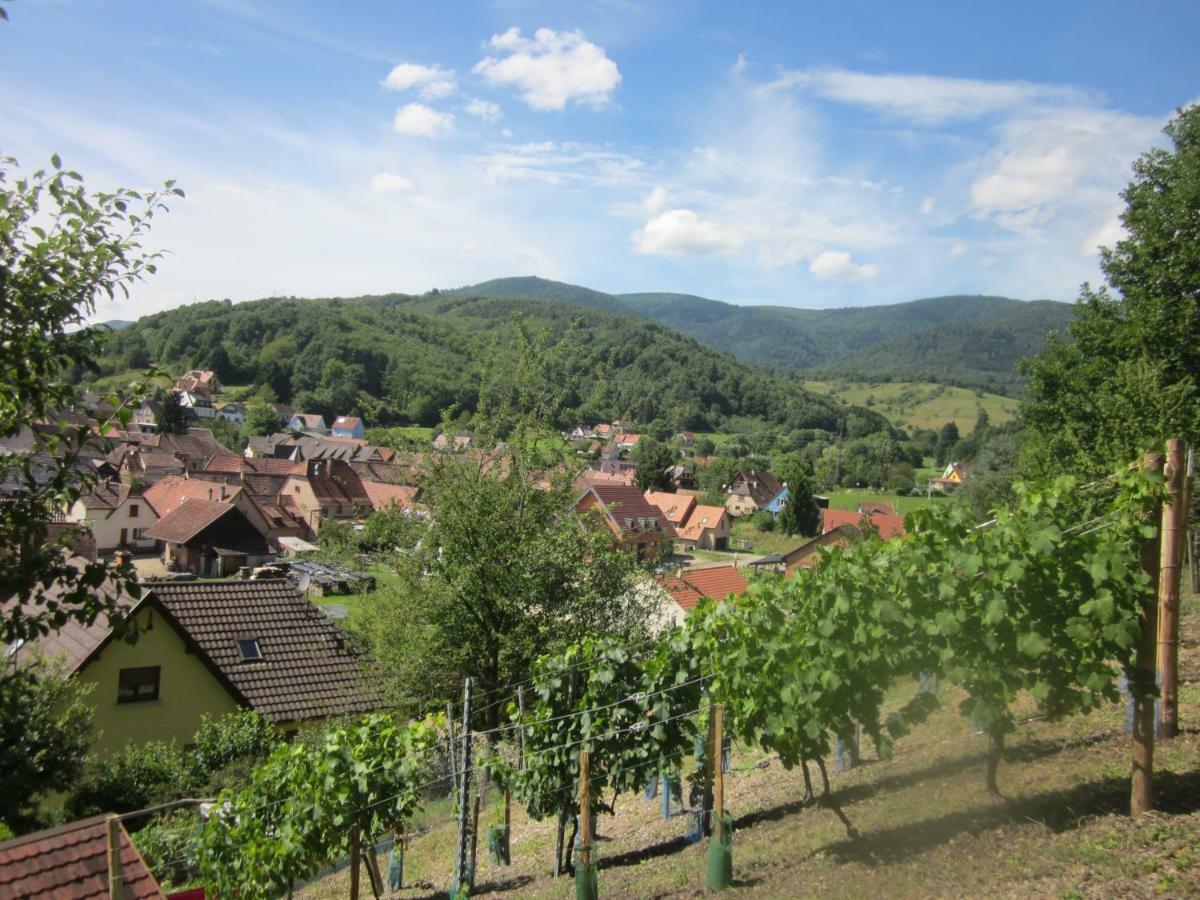 Chambres D'Hotes "Au Val Sejour" Alsace Saint-Martin  외부 사진